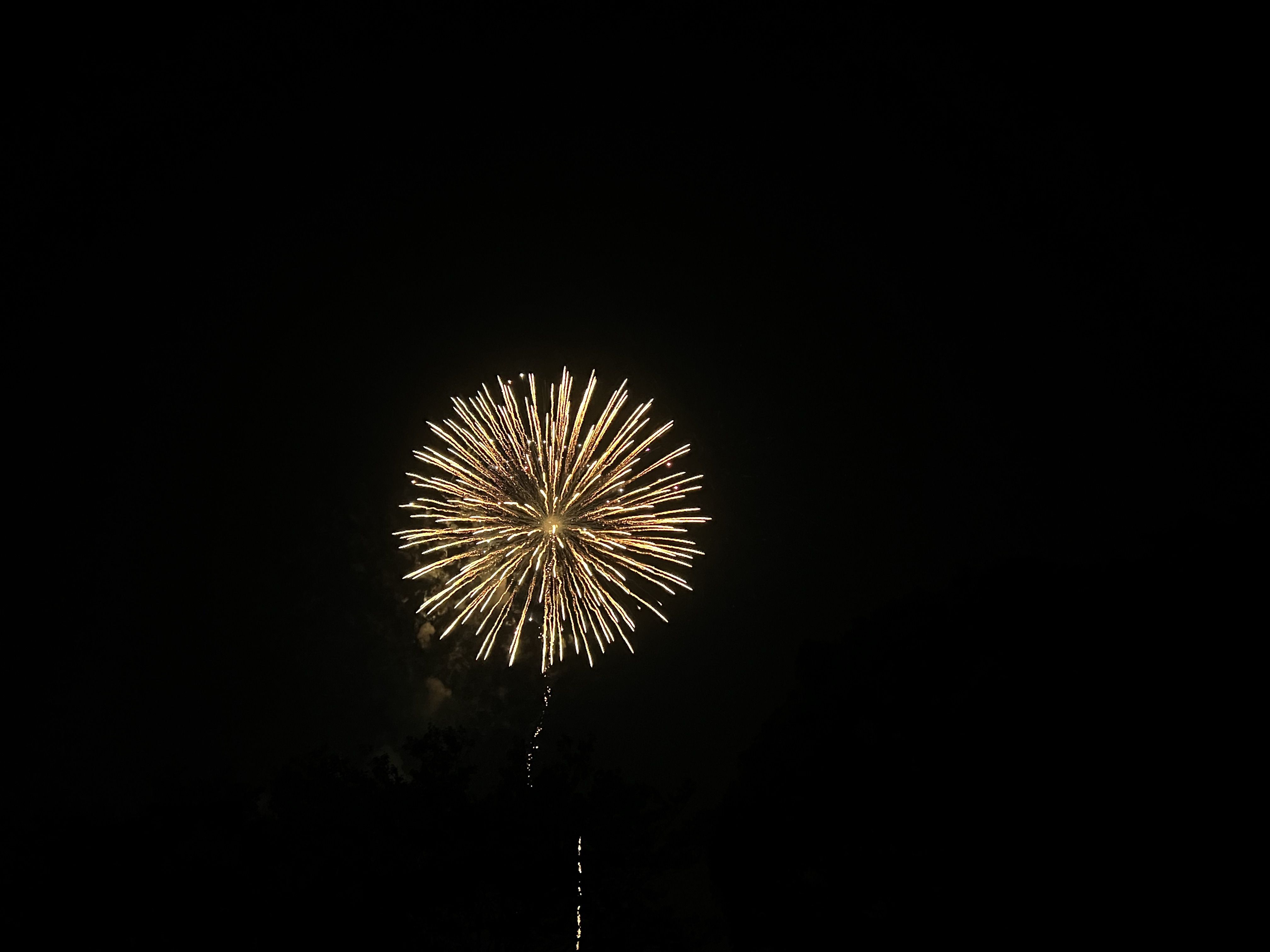 hanabi2.png